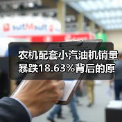 农机配套小汽油机销量暴跌18.63%背后的原因何在？（图4）