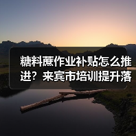 糖料蔗作业补贴怎么推进？来宾市培训提升落实能力（图1）