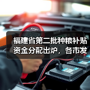 福建省第二批种粮补贴资金分配出炉，各市发放金额揭秘（图2）