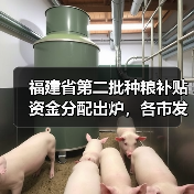 福建省第二批种粮补贴资金分配出炉，各市发放金额揭秘（图3）