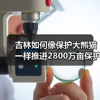 吉林如何像保护大熊猫一样推进2800万亩保护性耕作？（图3）