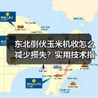 东北倒伏玉米机收怎么减少损失？实用技术指南来了（图1）