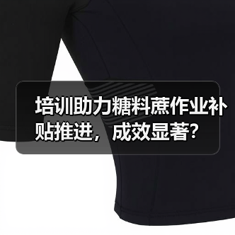 培训助力糖料蔗作业补贴推进，成效显著？（图2）