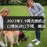 2023年1-9月内燃机出口增长进口下降，柴油机发电机组成亮点（图1）