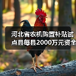 河北省农机购置补贴试点县每县2000万元资金分配解读(图4) 河北省农机购置补贴试点县每县2000万元资金分配解读(图4)
