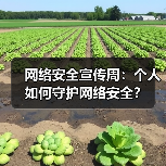 网络安全宣传周:个人如何守护网络安全?(图1) 网络安全宣传周:个人如何守护网络安全?(图1)