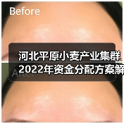 河北平原小麦产业集群2022年资金分配方案解读(图4) 河北平原小麦产业集群2022年资金分配方案解读(图4)