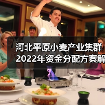 河北平原小麦产业集群2022年资金分配方案解读(图3) 河北平原小麦产业集群2022年资金分配方案解读(图3)