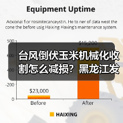 台风倒伏玉米机械化收割怎么减损？黑龙江发布实用技术指南（图4）