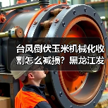 台风倒伏玉米机械化收割怎么减损？黑龙江发布实用技术指南（图3）