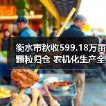 衡水市秋收599.18万亩颗粒归仓 农机化生产全程护航（图1）