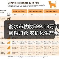 衡水市秋收599.18万亩颗粒归仓 农机化生产全程护航（图3）