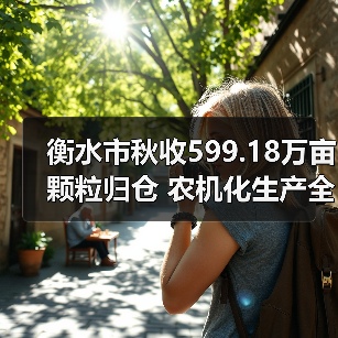衡水市秋收599.18万亩颗粒归仓 农机化生产全程护航（图4）