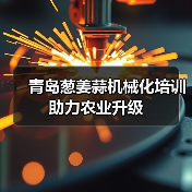 青岛葱姜蒜机械化培训助力农业升级(图1) 青岛葱姜蒜机械化培训助力农业升级(图1)