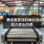 青岛葱姜蒜机械化培训助力农业升级(图4) 青岛葱姜蒜机械化培训助力农业升级(图4)