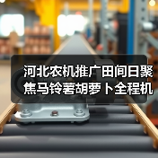 河北农机推广田间日聚焦马铃薯胡萝卜全程机械化(图1) 河北农机推广田间日聚焦马铃薯胡萝卜全程机械化(图1)