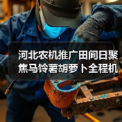 河北农机推广田间日聚焦马铃薯胡萝卜全程机械化(图4) 河北农机推广田间日聚焦马铃薯胡萝卜全程机械化(图4)
