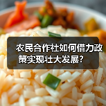 农民合作社如何借力政策实现壮大发展？（图2）