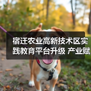 宿迁农业高新技术区实践教育平台升级 产业赋能新路径(图2) 宿迁农业高新技术区实践教育平台升级 产业赋能新路径(图2)