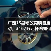 广西15县粮改饲项目启动,3167万元补贴如何落地?(图2) 广西15县粮改饲项目启动,3167万元补贴如何落地?(图2)