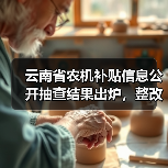 云南省农机补贴信息公开抽查结果出炉,整改如何推进?(图3) 云南省农机补贴信息公开抽查结果出炉,整改如何推进?(图3)