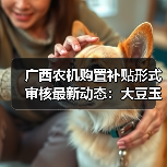广西农机购置补贴形式审核最新动态:大豆玉米一体化种植机通过审核?(图2) 广西农机购置补贴形式审核最新动态:大豆玉米一体化种植机通过审核?(图2)