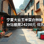 宁夏大豆玉米复合种植补贴最高24200元 优先支持播种机购置(图2) 宁夏大豆玉米复合种植补贴最高24200元 优先支持播种机购置(图2)