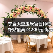 宁夏大豆玉米复合种植补贴最高24200元 优先支持播种机购置(图3) 宁夏大豆玉米复合种植补贴最高24200元 优先支持播种机购置(图3)