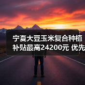 宁夏大豆玉米复合种植补贴最高24200元 优先支持播种机购置(图4) 宁夏大豆玉米复合种植补贴最高24200元 优先支持播种机购置(图4)
