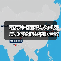 稻麦种植面积与购机强度如何影响谷物联合收割机市场前景？（图2）
