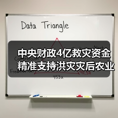 中央财政4亿救灾资金精准支持洪灾灾后农业恢复(图4) 中央财政4亿救灾资金精准支持洪灾灾后农业恢复(图4)