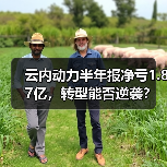 云内动力半年报净亏1.87亿,转型能否逆袭?(图2) 云内动力半年报净亏1.87亿,转型能否逆袭?(图2)