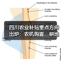 四川农业补贴重点方向出炉:农机购置、耕地保护成关注焦点(图1) 四川农业补贴重点方向出炉:农机购置、耕地保护成关注焦点(图1)