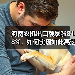 河南农机出口额暴涨81.8%,如何实现如此高速增长?(图2) 河南农机出口额暴涨81.8%,如何实现如此高速增长?(图2)