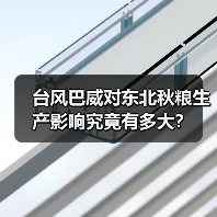 台风巴威对东北秋粮生产影响究竟有多大?(图1) 台风巴威对东北秋粮生产影响究竟有多大?(图1)