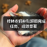 桂林农机补贴超额完成任务,成效显著(图4) 桂林农机补贴超额完成任务,成效显著(图4)