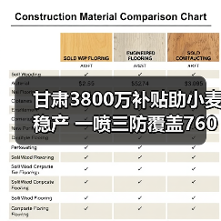 甘肃3800万补贴助小麦稳产 一喷三防覆盖760万亩(图1) 甘肃3800万补贴助小麦稳产 一喷三防覆盖760万亩(图1)