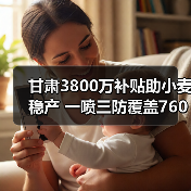 甘肃3800万补贴助小麦稳产 一喷三防覆盖760万亩(图3) 甘肃3800万补贴助小麦稳产 一喷三防覆盖760万亩(图3)