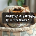 农机市场 农机市场