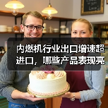 内燃机行业出口增速超进口,哪些产品表现亮眼?(图4) 内燃机行业出口增速超进口,哪些产品表现亮眼?(图4)