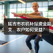 延吉市农机补贴资金超支,农户如何受益?(图4) 延吉市农机补贴资金超支,农户如何受益?(图4)