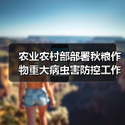 农业农村部部署秋粮作物重大病虫害防控工作 确保总体危害损失控制在5%以内(图4) 农业农村部部署秋粮作物重大病虫害防控工作 确保总体危害损失控制在5%以内(图4)