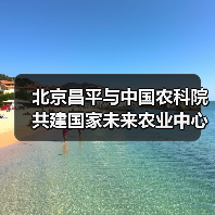 北京昌平与中国农科院共建国家未来农业中心(图4) 北京昌平与中国农科院共建国家未来农业中心(图4)