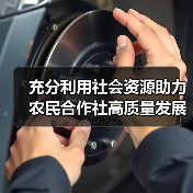 充分利用社会资源助力农民合作社高质量发展(图4) 充分利用社会资源助力农民合作社高质量发展(图4)
