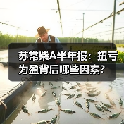 苏常柴A半年报:扭亏为盈背后哪些因素?(图3) 苏常柴A半年报:扭亏为盈背后哪些因素?(图3)