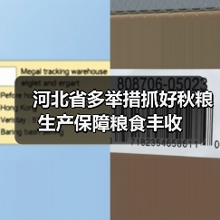 河北省多举措抓好秋粮生产保障粮食丰收(图2) 河北省多举措抓好秋粮生产保障粮食丰收(图2)
