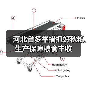 河北省多举措抓好秋粮生产保障粮食丰收(图3) 河北省多举措抓好秋粮生产保障粮食丰收(图3)