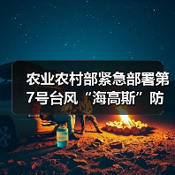农业农村部紧急部署第7号台风“海高斯”防御工作(图4) 农业农村部紧急部署第7号台风“海高斯”防御工作(图4)