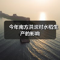 今年南方洪涝对水稻生产的影响(图2) 今年南方洪涝对水稻生产的影响(图2)