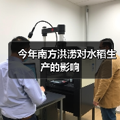 今年南方洪涝对水稻生产的影响(图3) 今年南方洪涝对水稻生产的影响(图3)